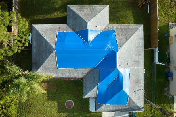 Best Roof Insulation Installation  in Atoka, TN